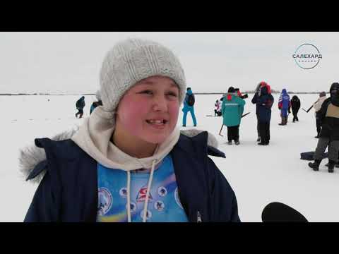 СПОРТ - дайджест