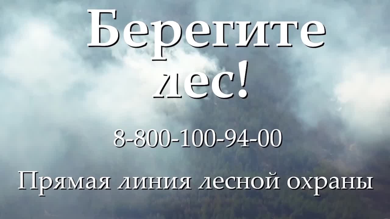 Профилактика лесных пожаров