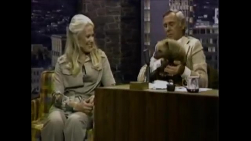 Кустарниковая собака (Speothos venaticus)