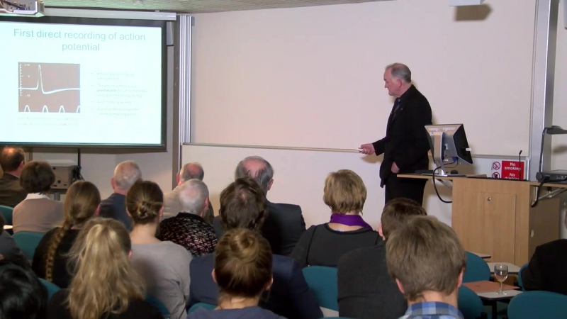 Ионные каналы