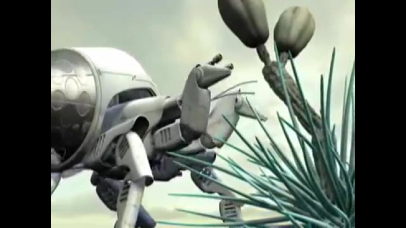 Фауна кембрия