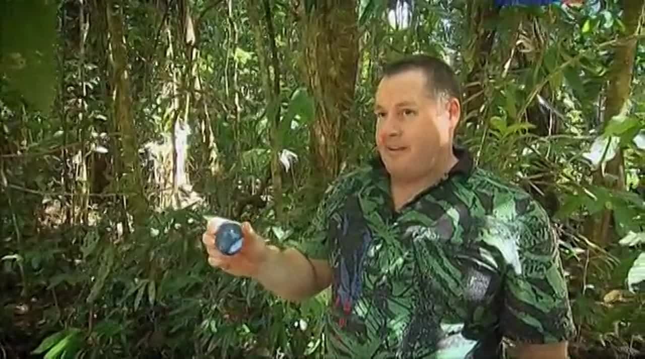 Австралия - путешествие во времени