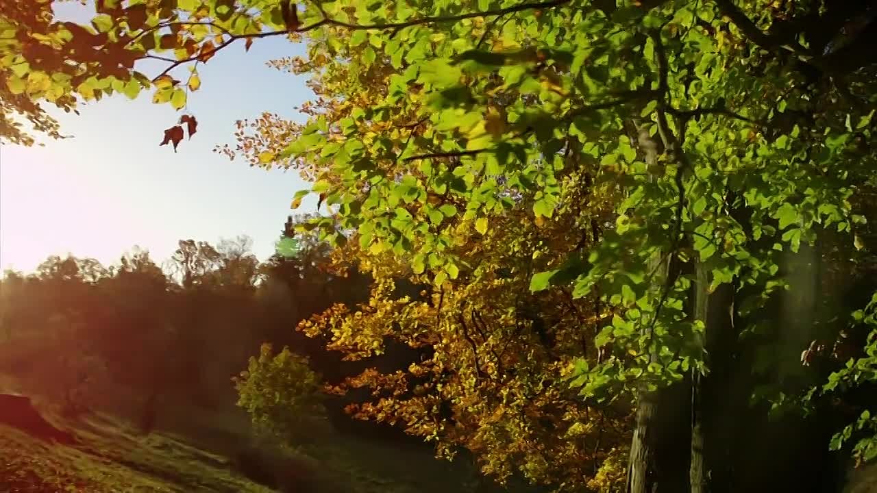 BBC. Британские времена года / The Great British Year (2013)