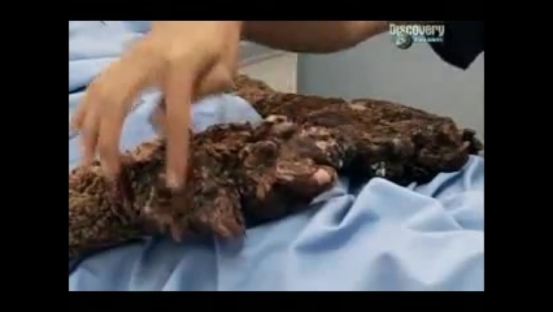 Моя ужасная история