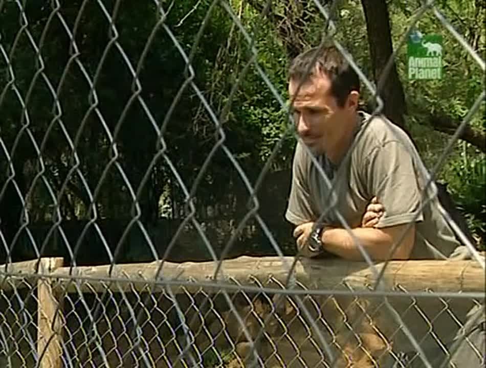 Animal Planet. Как вырастить...