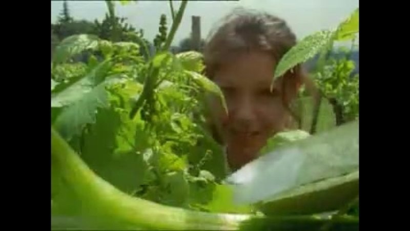 BBC. Беседы с животными