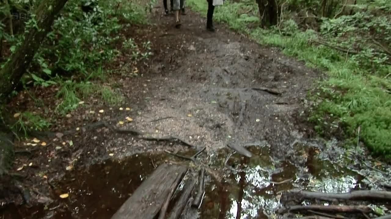 BBC: Как действуют наркотики/ BBC: How Drugs Work