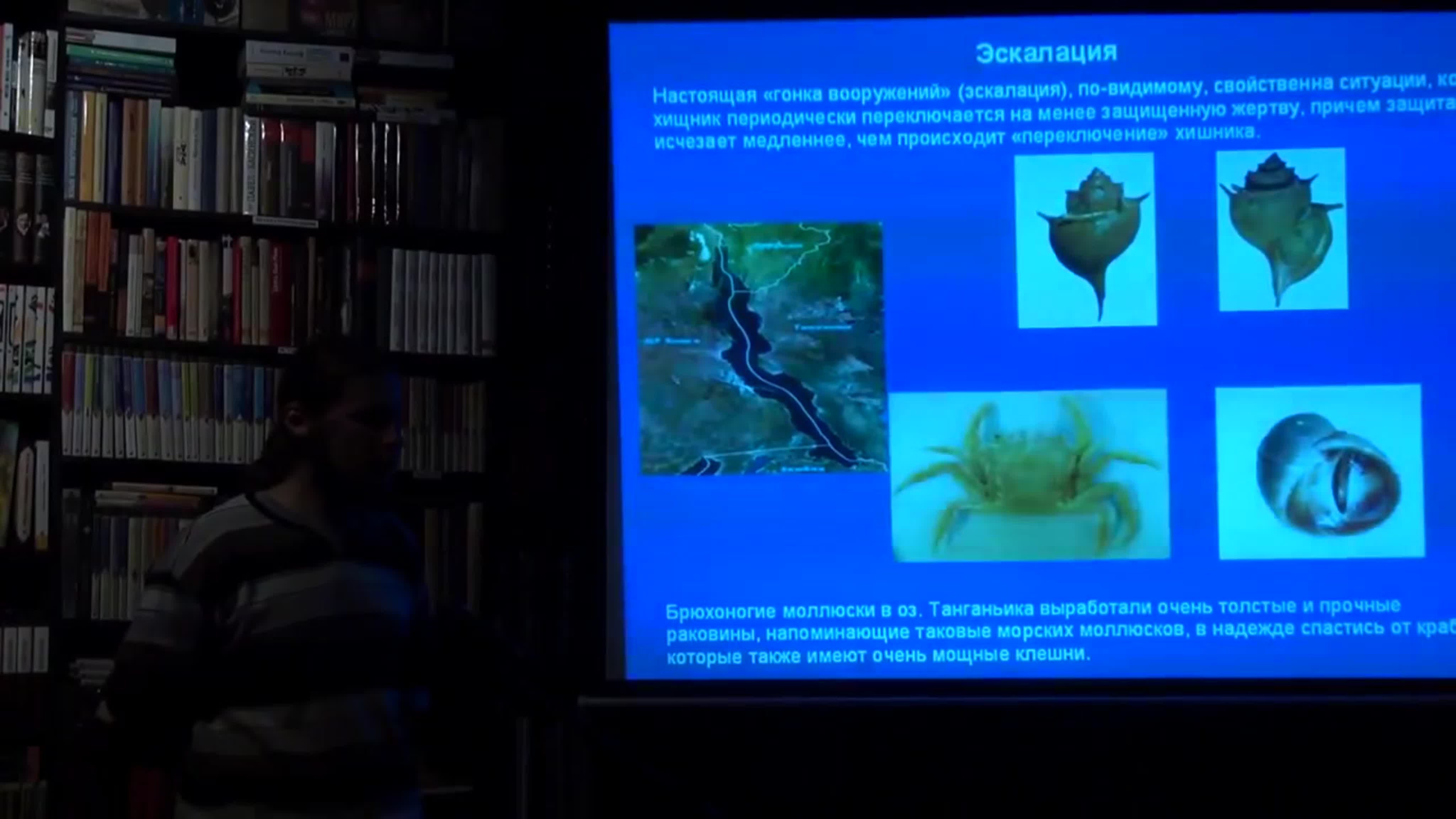 Несортированное
