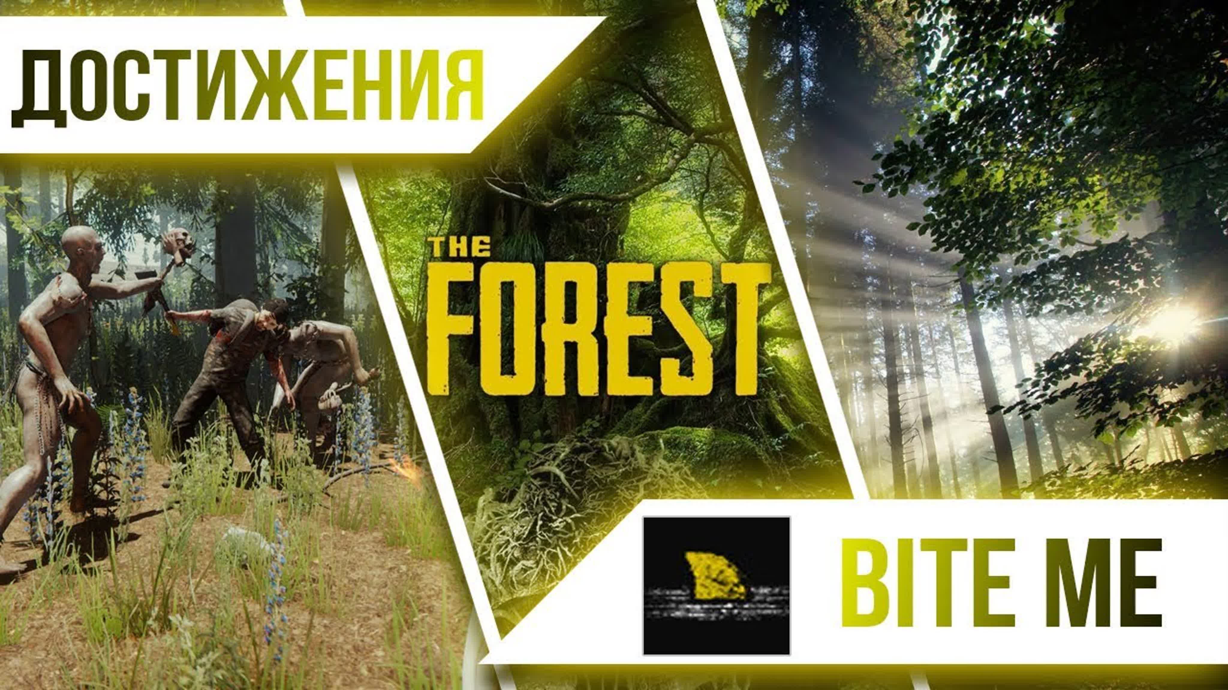 Достижения The Forest