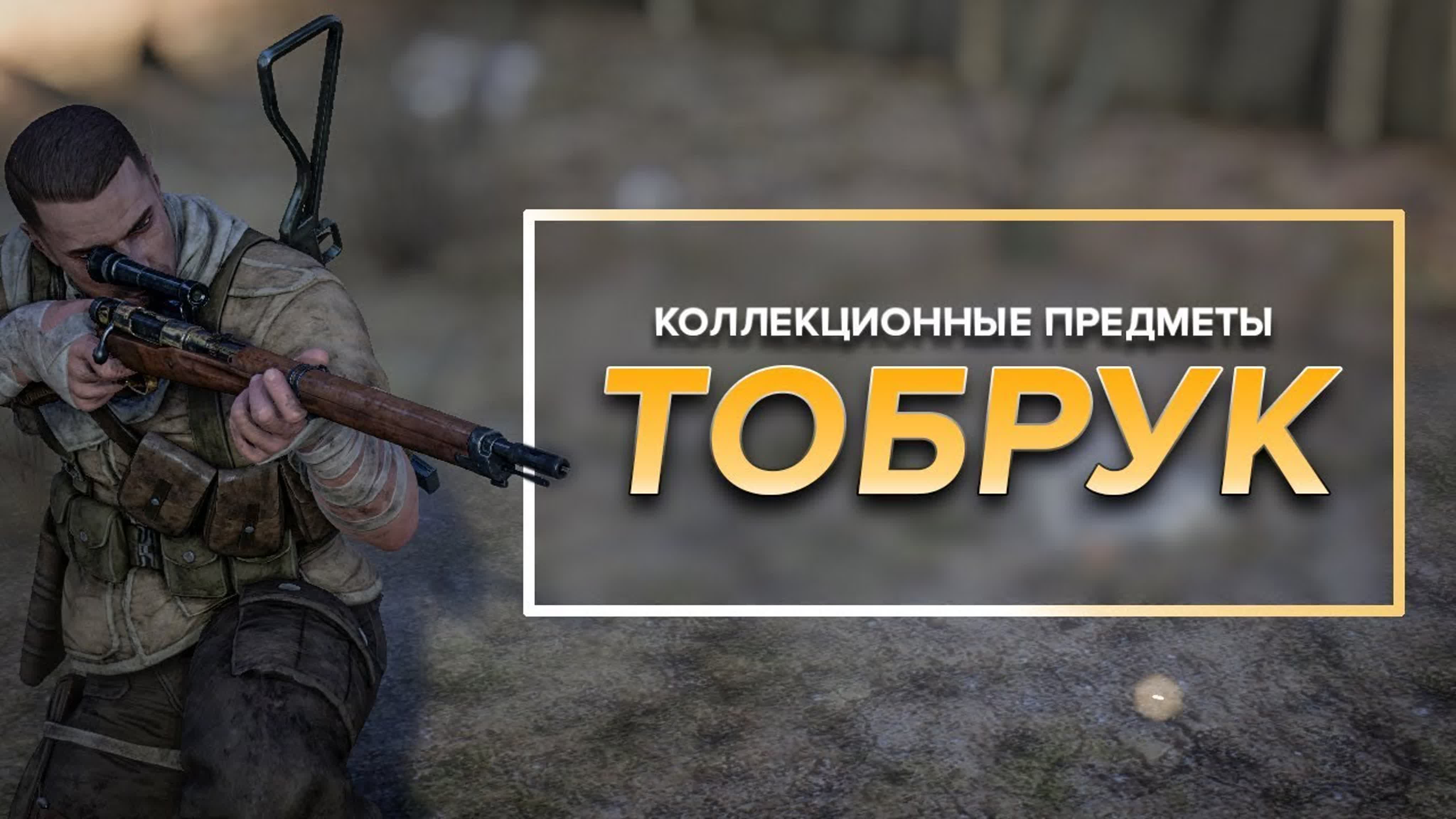 Коллекционные предметы Sniper Elite 3