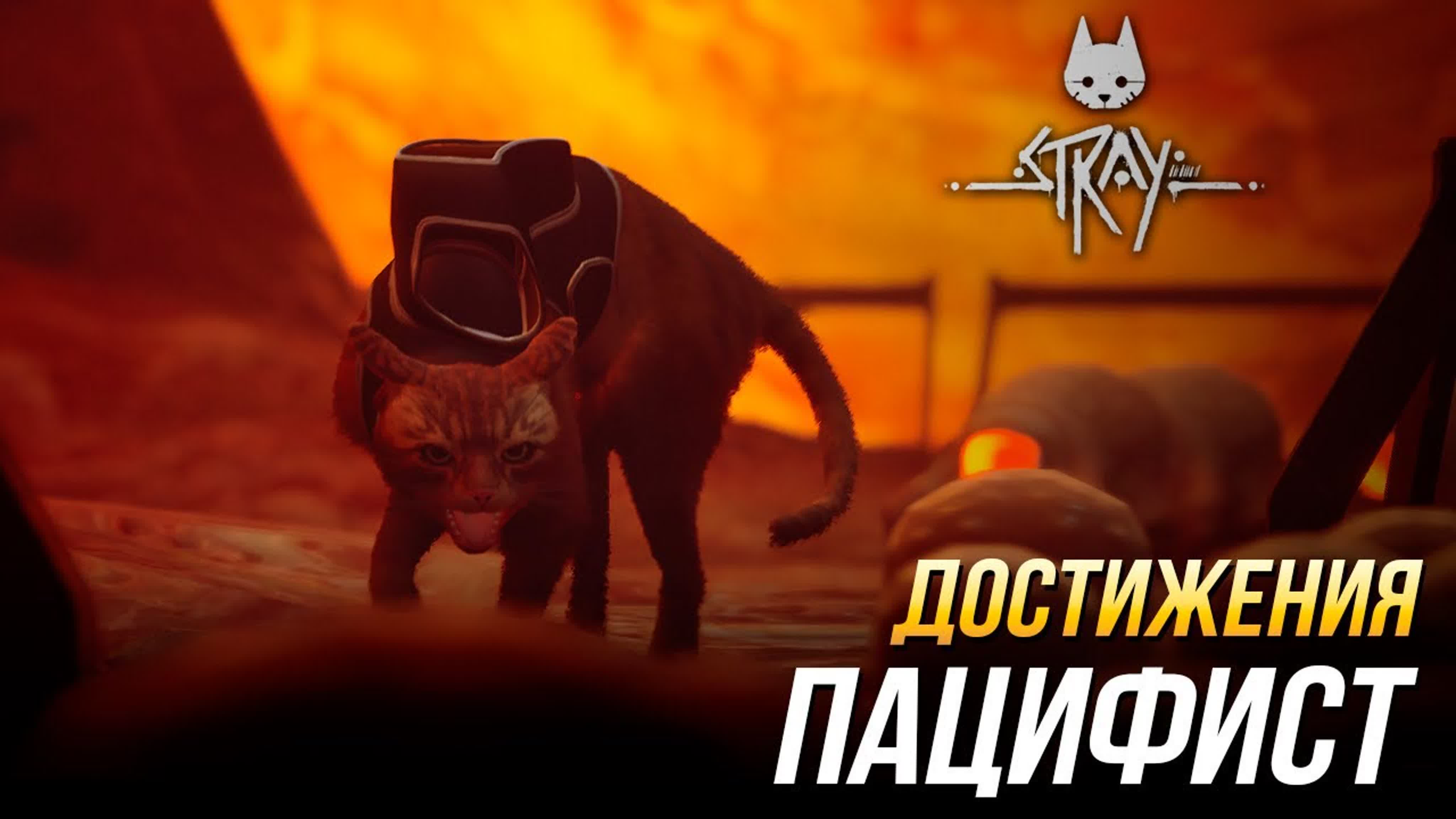 Достижения Stray