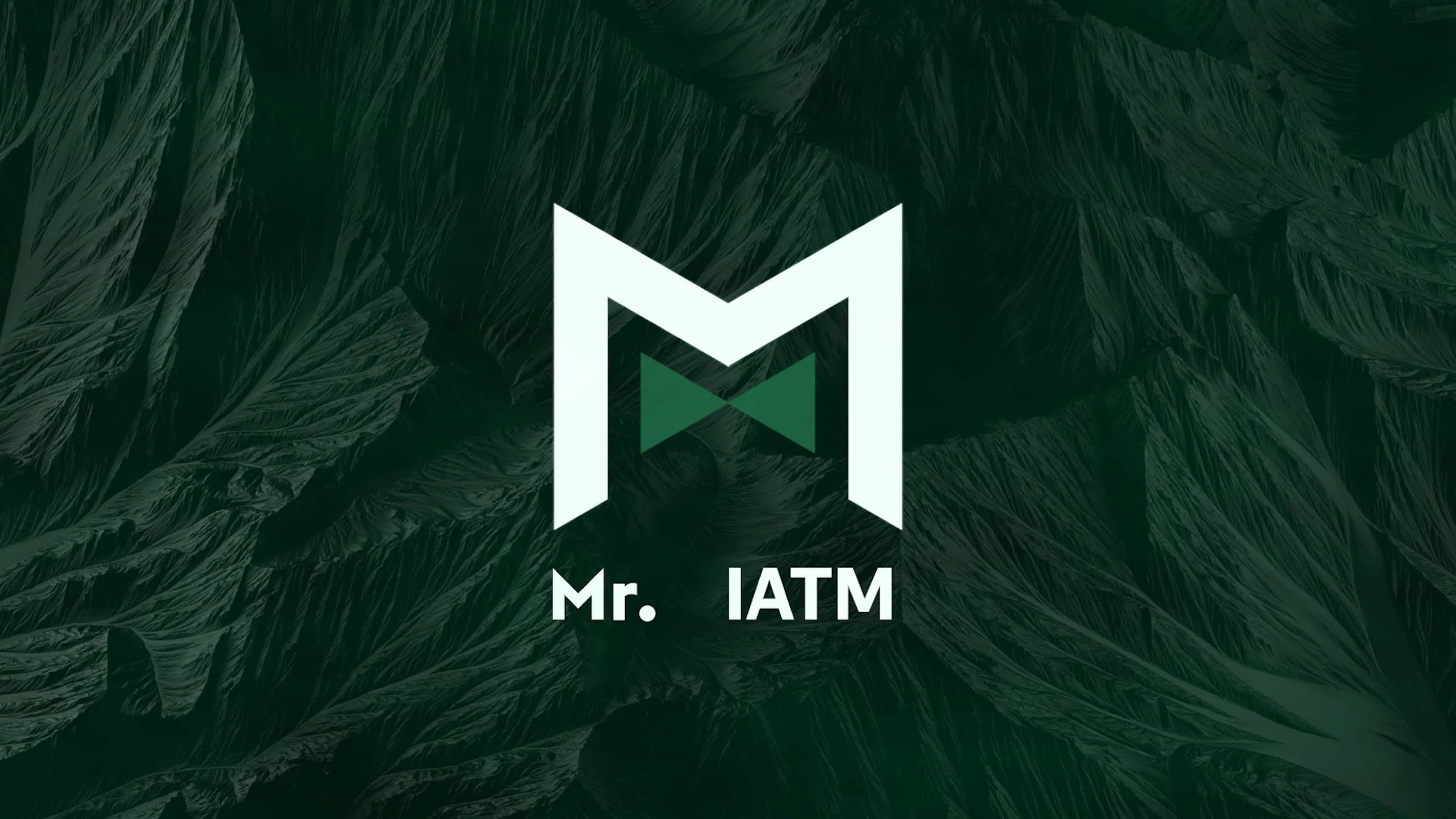 Мистер УГАТУ