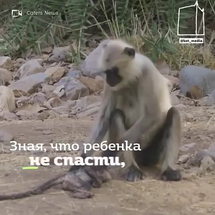 Фильмы