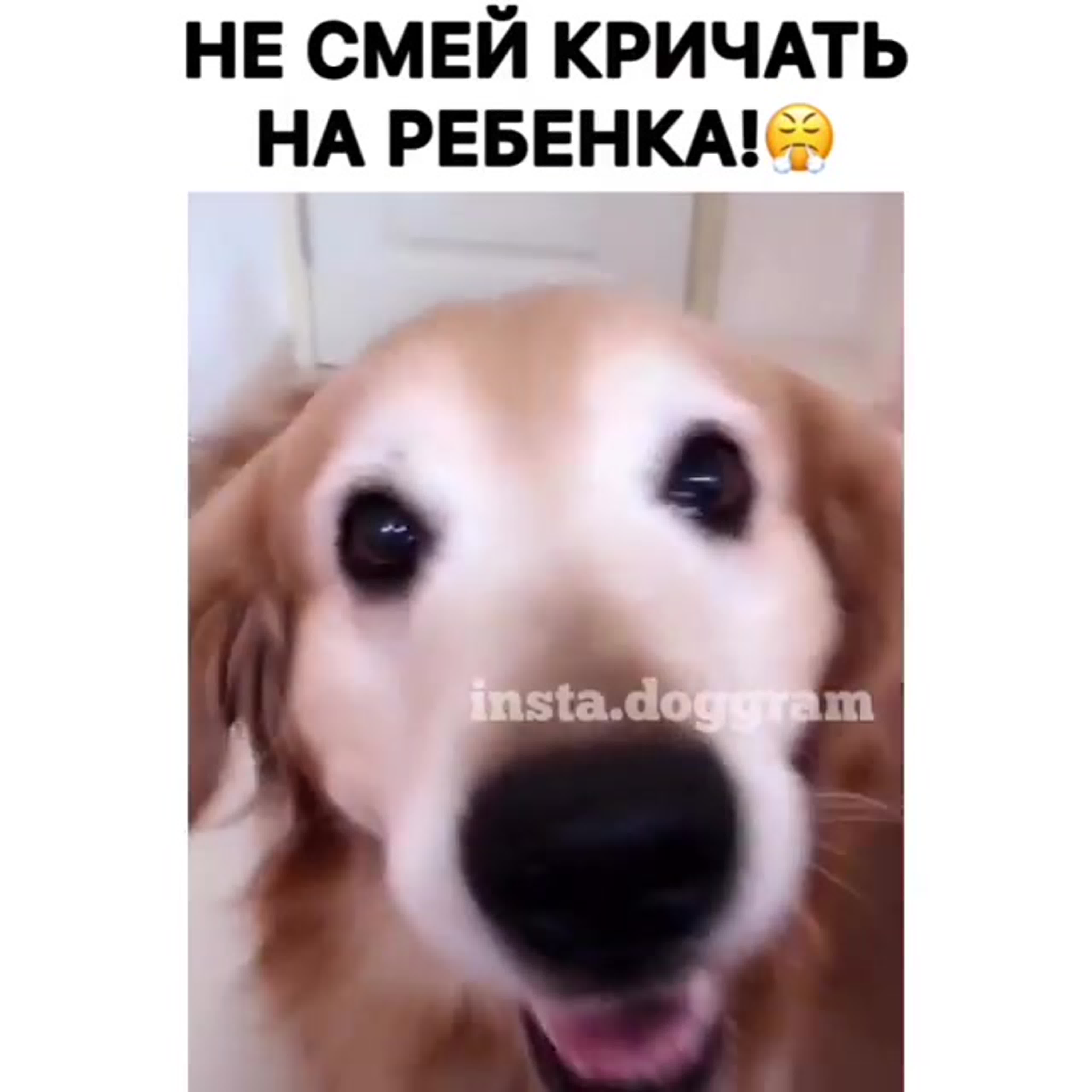 ВИДЕО ХЛАМ