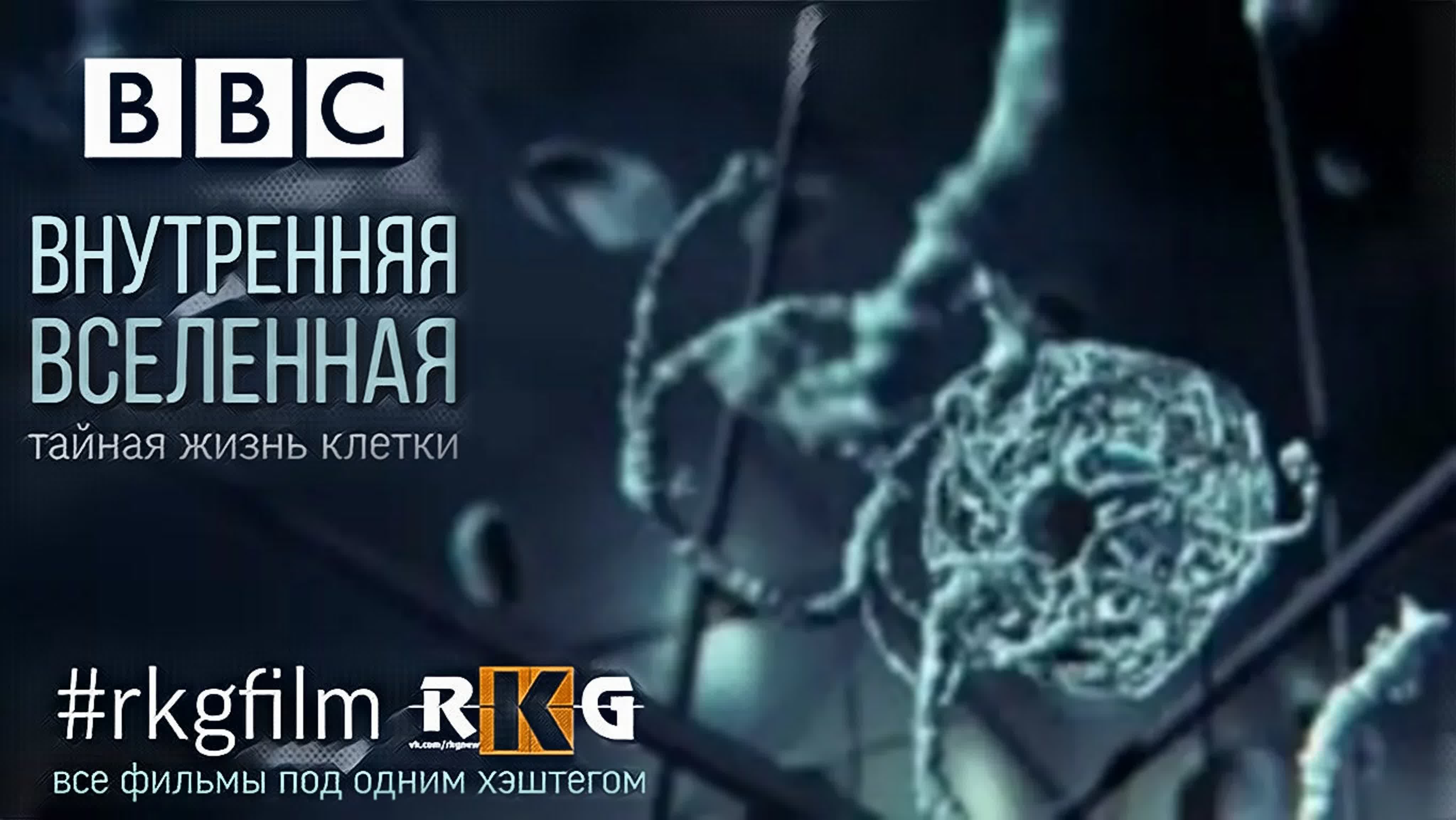 🎥 Фильмы. Жанр - Документалные; Исторические. #rkgdocumentary #rkghistorical