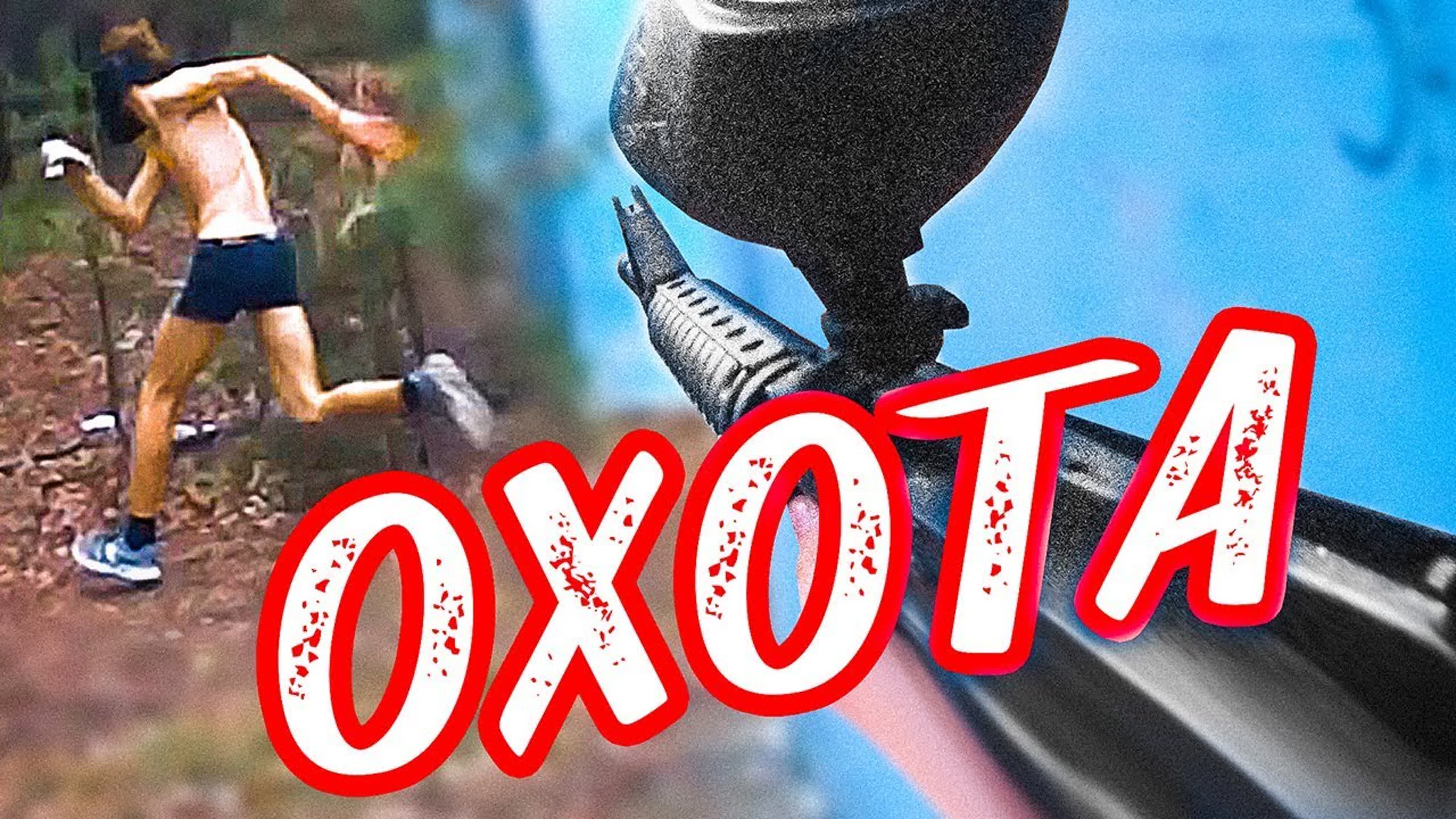 Лучшие видео