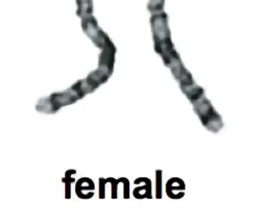 На случай важных переговоров.