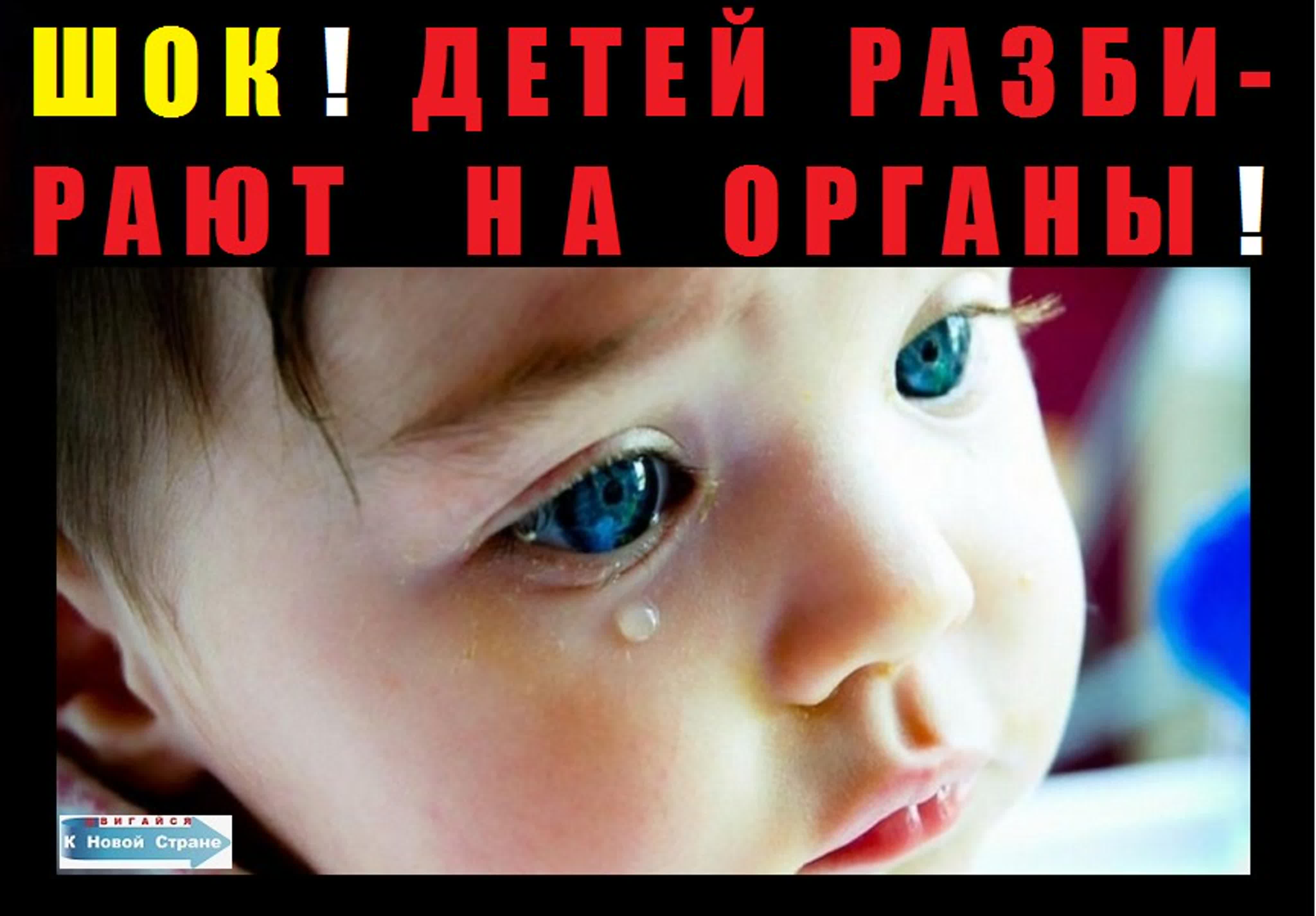 ТОРГОВЛЯ ЗЕМЛЯНАМИ и их ОРГАНАМИ...