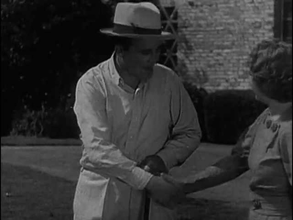 Hollywood on Parade (серия короткометражек Paramount с участием Бинга)