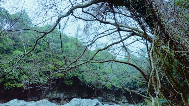 post-rock | post-metal | sludge | doom | stoner | ambient