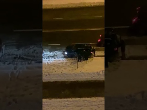 Лукашисты .