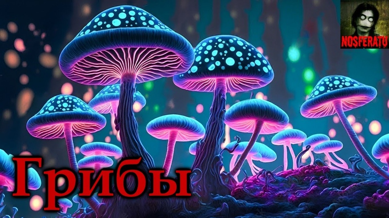 Истории на ночь от NOSFERATU (2 альбом)