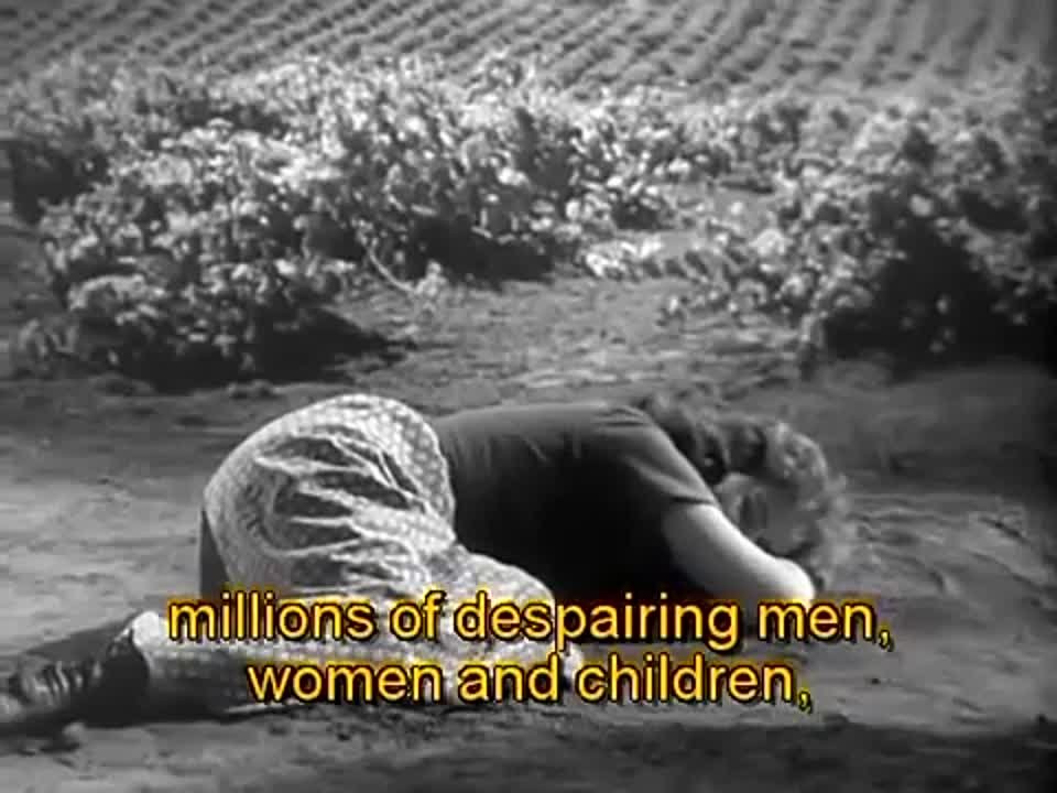 Societies & Human Morals !