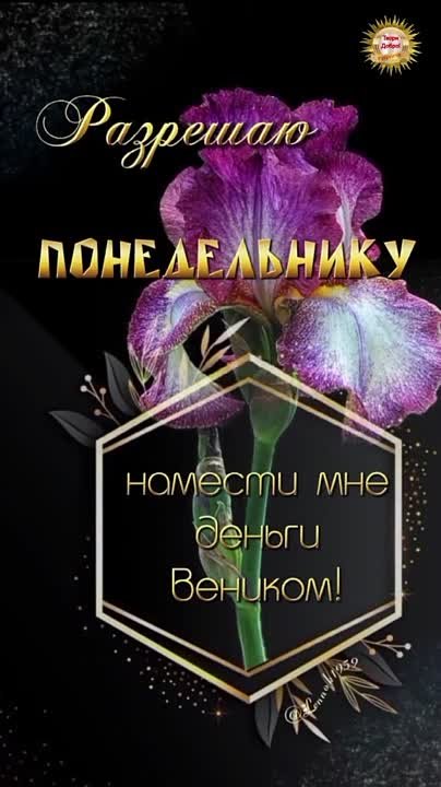 ПОНЕДЕЛЬНИК