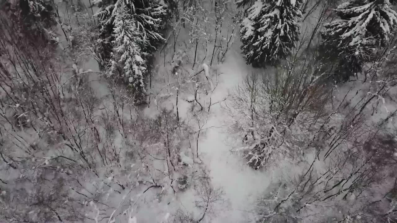 Зимний праздник спорта "Лига героев"