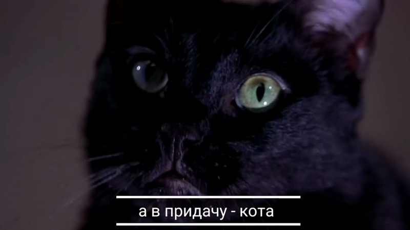 Ольга Ярошинская