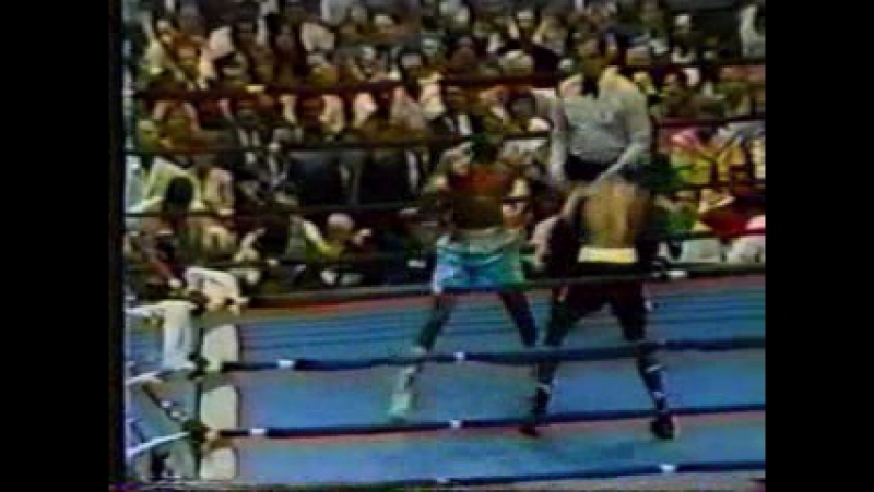 Рой Джонс младший