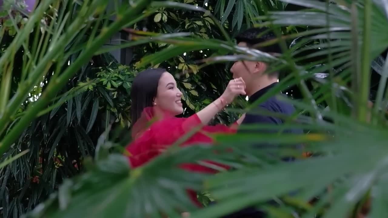 Видеоклипы