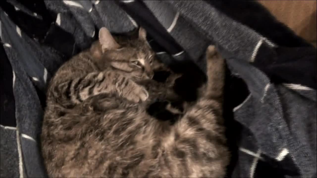 Жизнь актерская - театр и др.