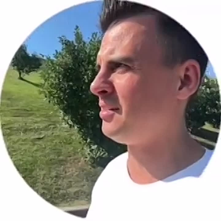 Соцсети - сторисы, тиктоки и т.д.