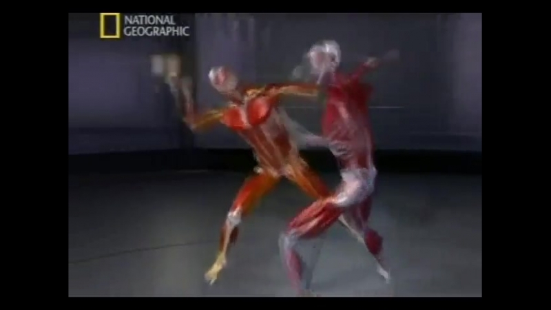 Военная Подготовка