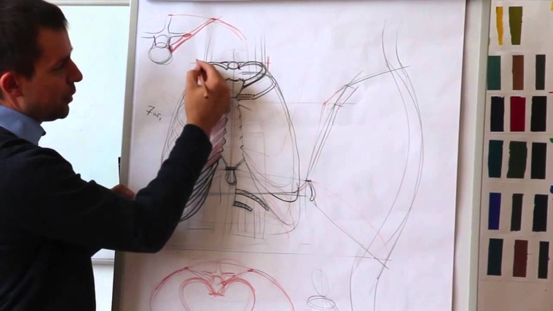 Пластическая анатомия для художников