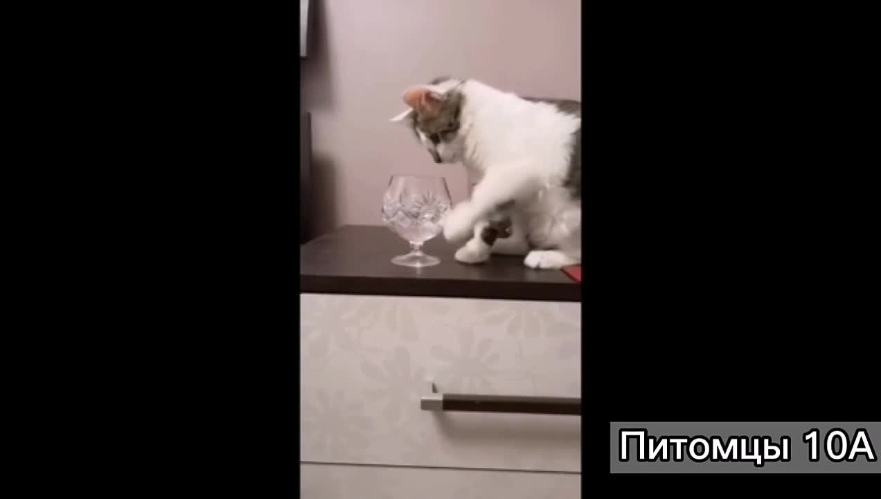 Зимняя Неделя Добра-2021 Акция "Зоомир"