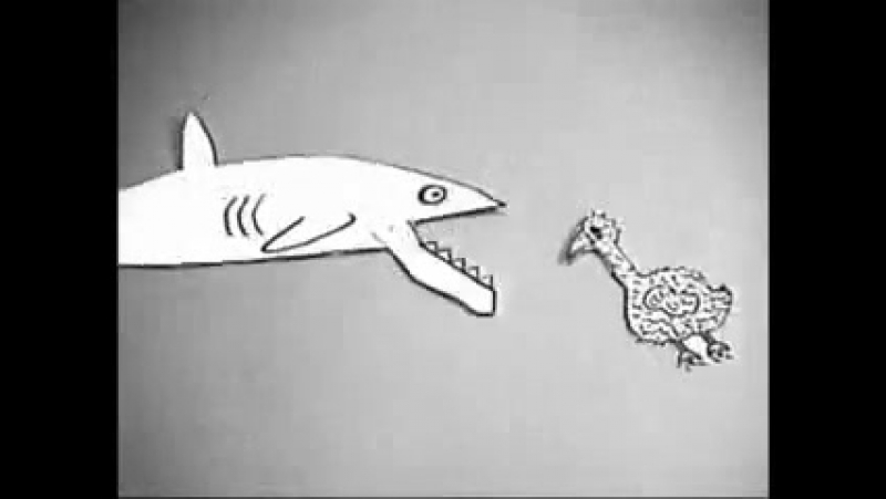 Даррин Джеймс Рей / Darryn James Rae