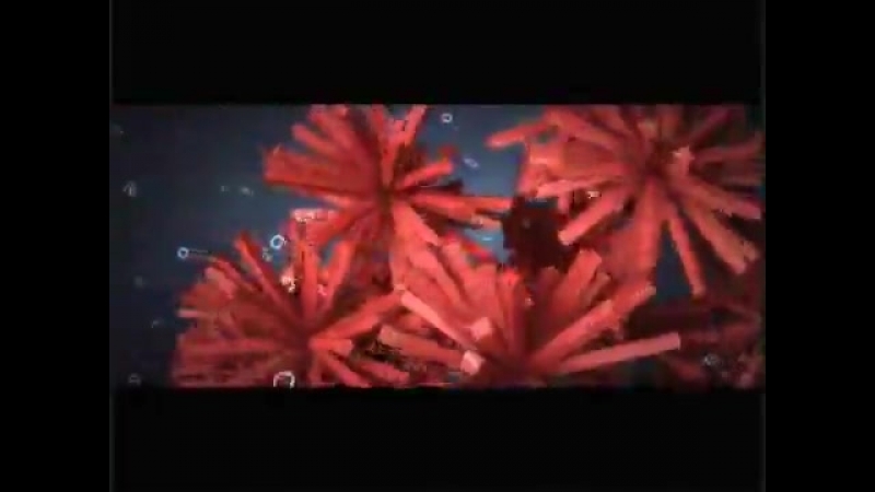 Макото Ябуки / Makoto Yabuki