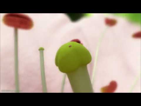 BBC: фильмы о природе и космосе (12+)