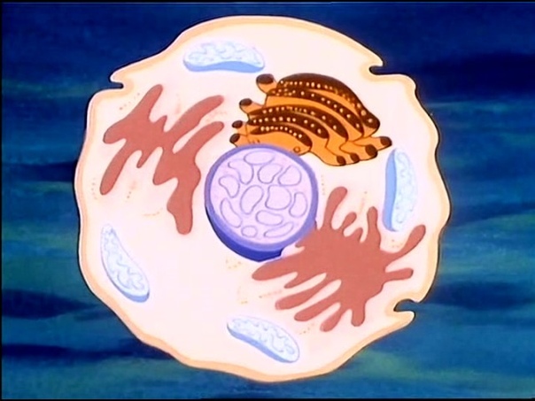 Жила-была жизнь | Анимационный сериал по анатомии для детей