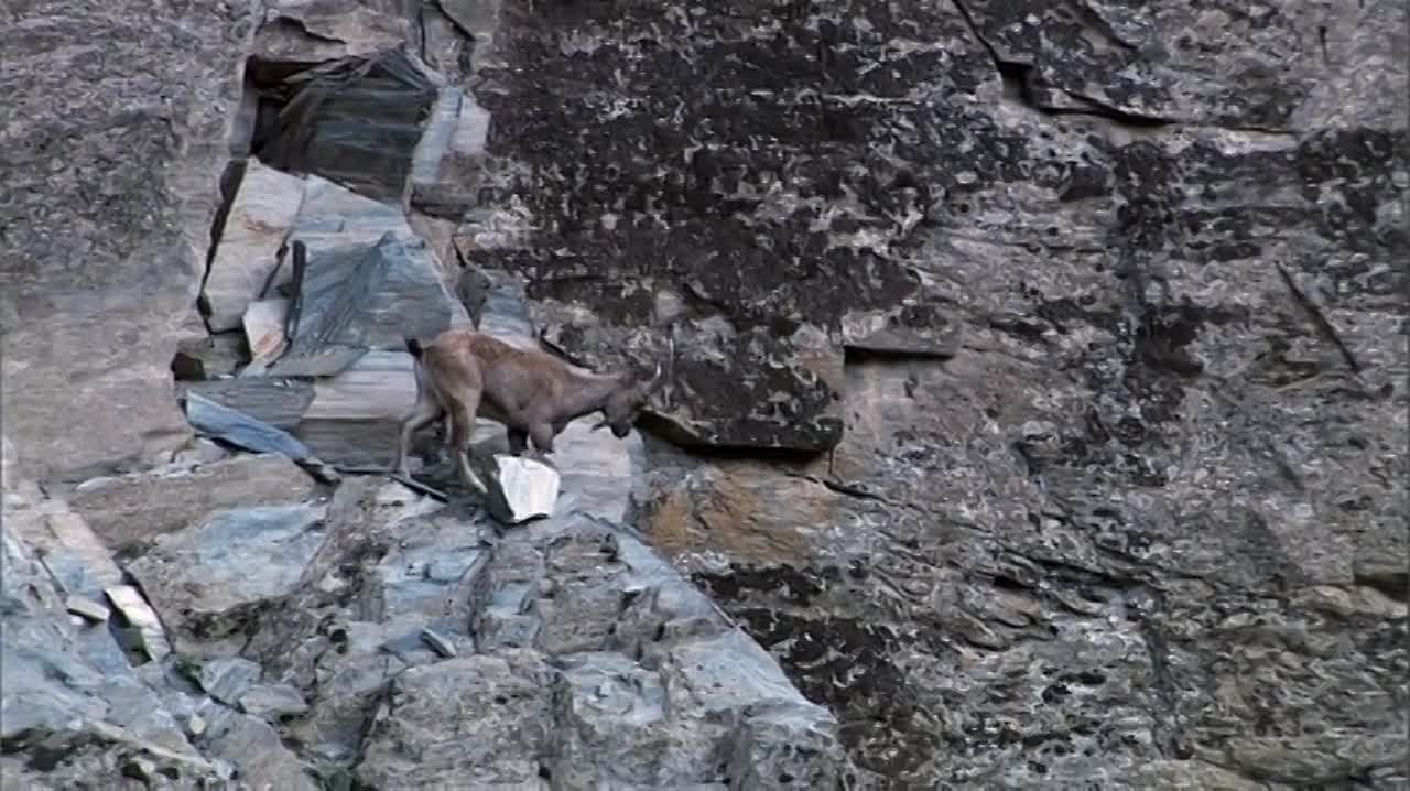 BBC: Планета Земля (2006)