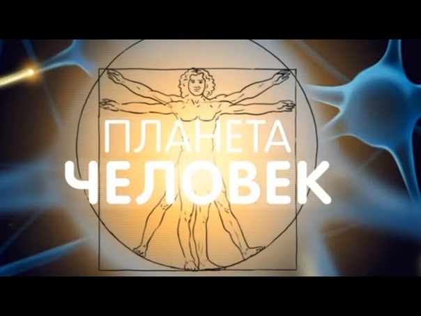 Мультфильмы о строении человека