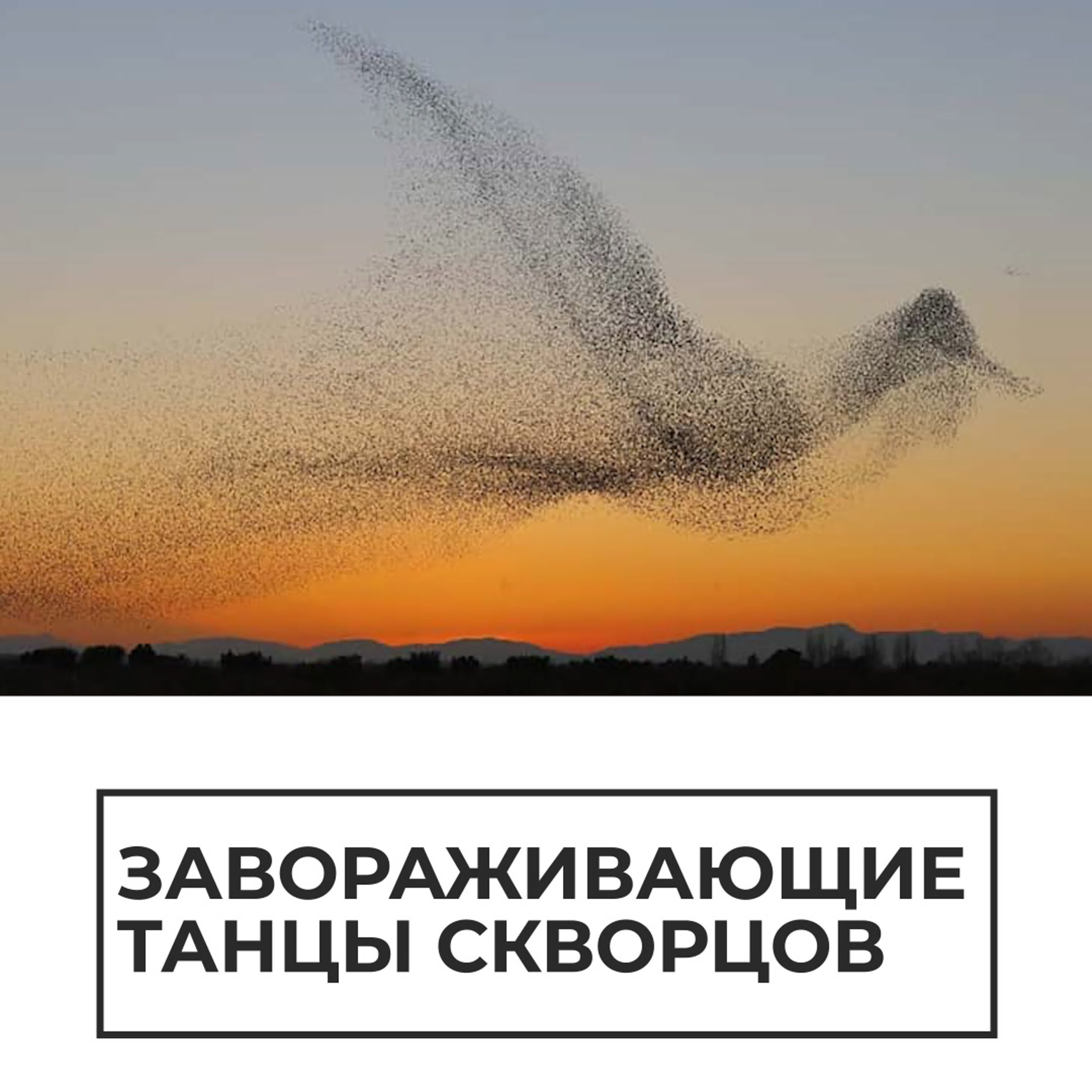 Обучающие и познавательные видео. Разные