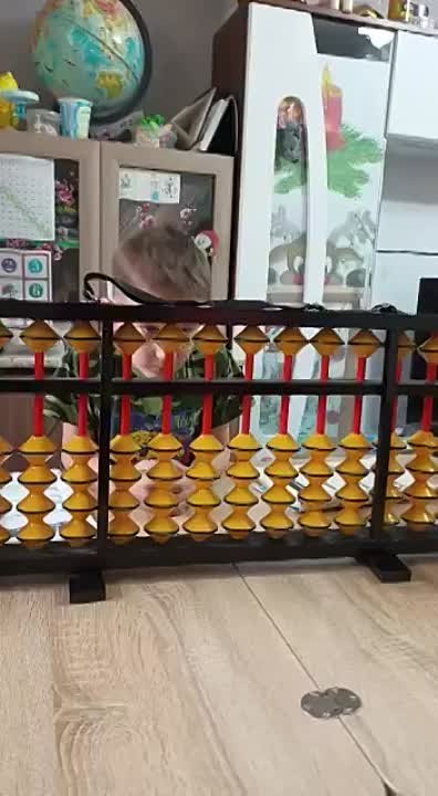 Фрагменты уроков по  Ментальной арифметике.