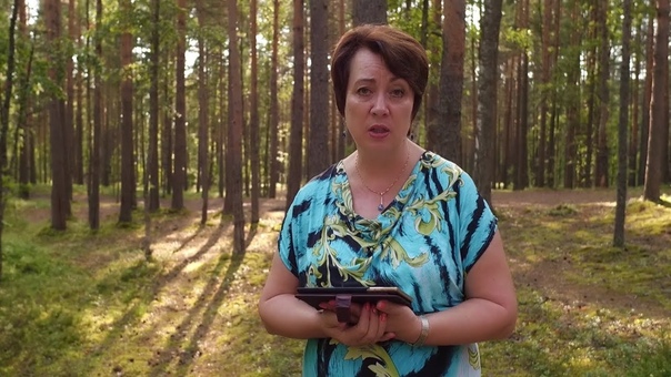 Передачи о Последнем времени