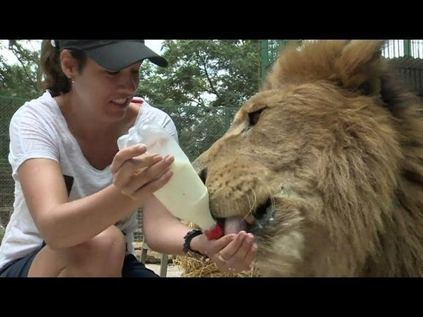 bbc learning english