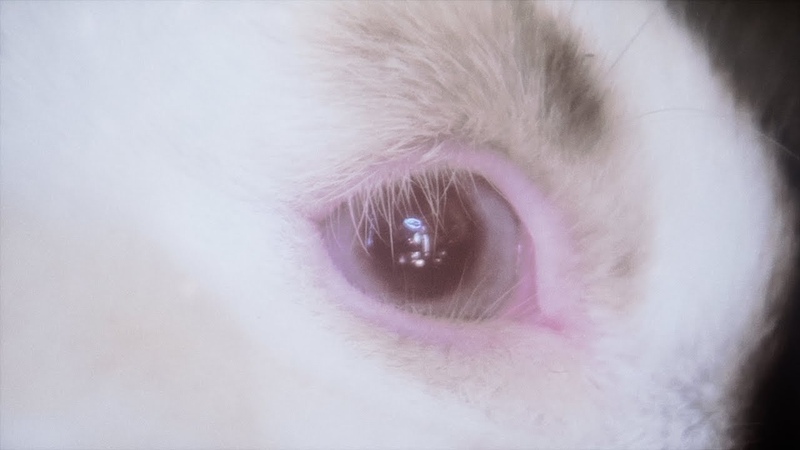 Youtube & Music Videos