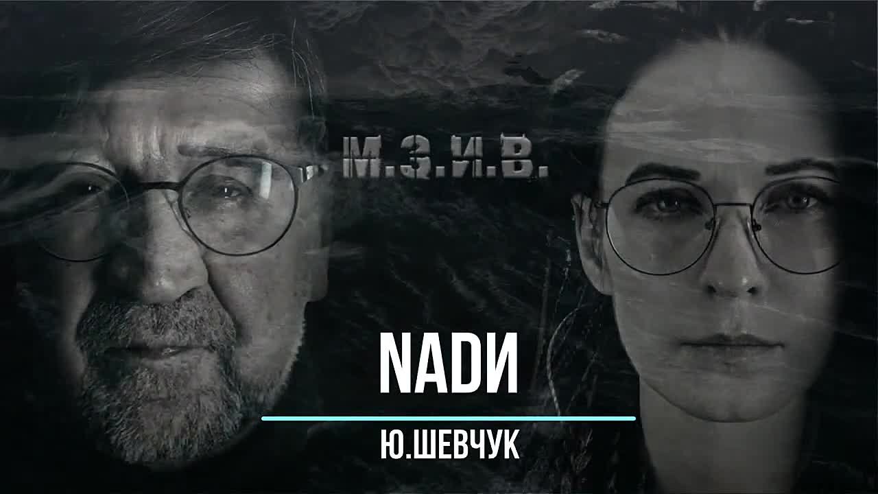 ЮРИЙ ШЕВЧУК  *ДДТ*