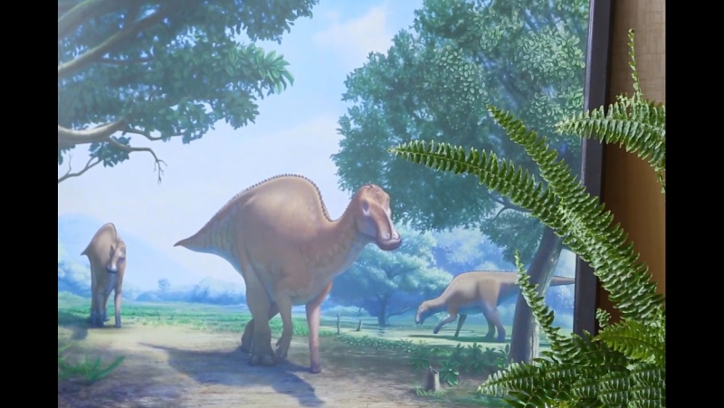 #23 БЛАГОВЕЩЕНСК